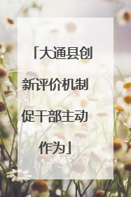 大通县创新评价机制促干部主动作为