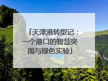 天津港转型记：一个港口的智慧突围与绿色实验
