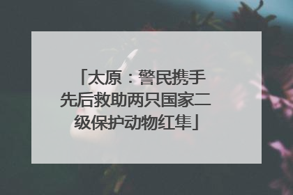 太原：警民携手 先后救助两只国家二级保护动物红隼