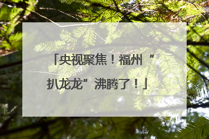央视聚焦！福州“扒龙龙”沸腾了！