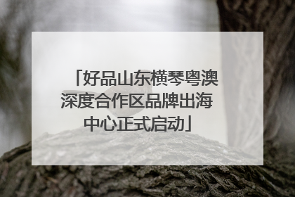 好品山东横琴粤澳深度合作区品牌出海中心正式启动