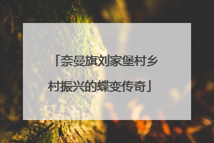 奈曼旗刘家堡村乡村振兴的蝶变传奇