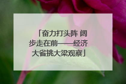 奋力打头阵 阔步走在前——经济大省挑大梁观察