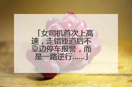 女司机首次上高速，走错匝道后不靠边停车报警，而是一路逆行……