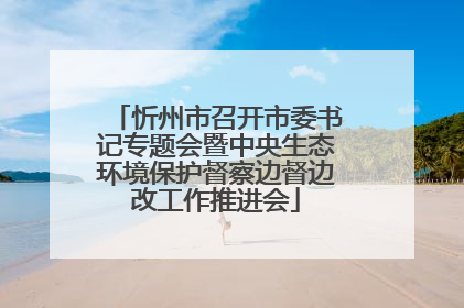 忻州市召开市委书记专题会暨中央生态环境保护督察边督边改工作推进会