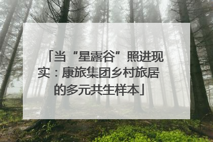 当“星露谷”照进现实：康旅集团乡村旅居的多元共生样本