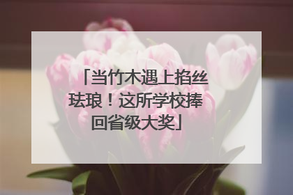 当竹木遇上掐丝珐琅！这所学校捧回省级大奖