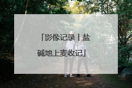 影像记录丨盐碱地上麦收记