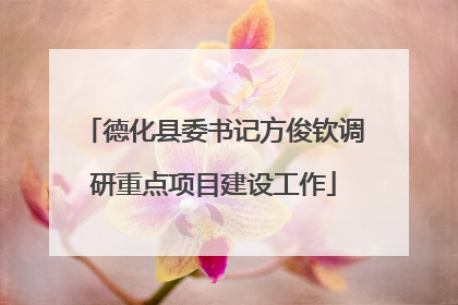 德化县委书记方俊钦调研重点项目建设工作