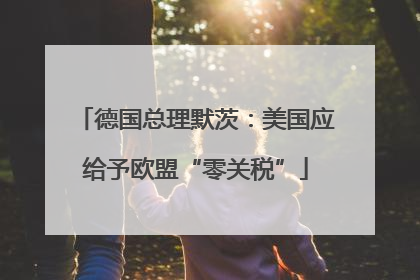 德国总理默茨：美国应给予欧盟“零关税”