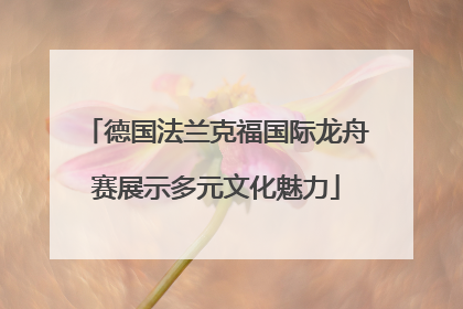 德国法兰克福国际龙舟赛展示多元文化魅力