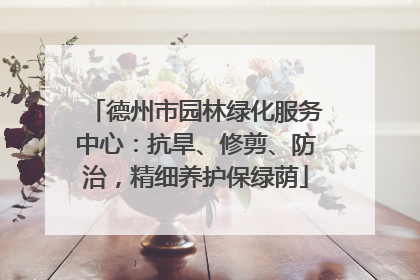 德州市园林绿化服务中心：抗旱、修剪、防治，精细养护保绿荫