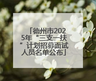 德州市2025年“三支一扶”计划招募面试人员名单公布