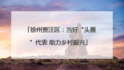 徐州贾汪区：当好“头雁”代表 助力乡村振兴
