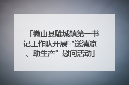 微山县驩城镇第一书记工作队开展“送清凉、助生产”慰问活动