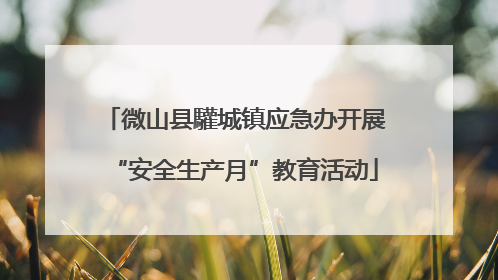 微山县驩城镇应急办开展“安全生产月”教育活动