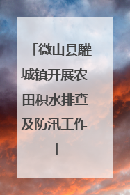 微山县驩城镇开展农田积水排查及防汛工作