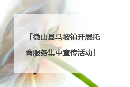 微山县马坡镇开展托育服务集中宣传活动