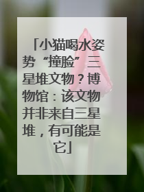 小猫喝水姿势“撞脸”三星堆文物？博物馆：该文物并非来自三星堆，有可能是它