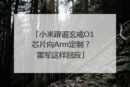 小米辟谣玄戒O1芯片向Arm定制？雷军这样回应