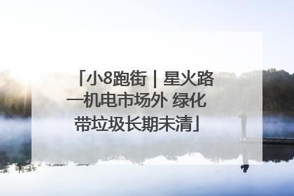 小8跑街｜星火路一机电市场外 绿化带垃圾长期未清