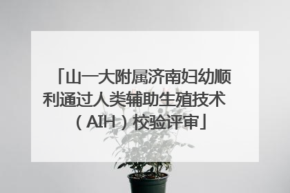 山一大附属济南妇幼顺利通过人类辅助生殖技术（AIH）校验评审