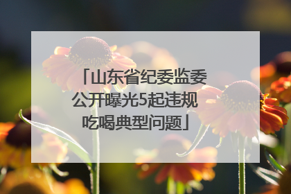 山东省纪委监委公开曝光5起违规吃喝典型问题