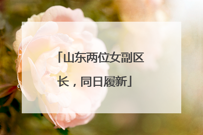 山东两位女副区长，同日履新