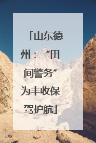 山东德州：“田间警务”为丰收保驾护航