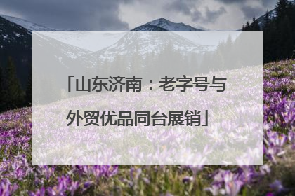 山东济南：老字号与外贸优品同台展销