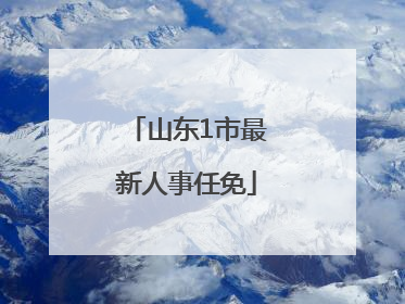 山东1市最新人事任免