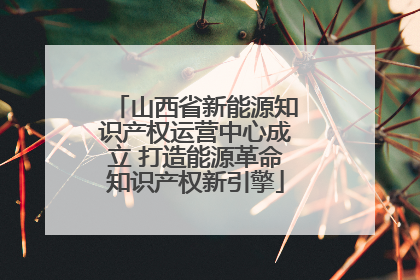 山西省新能源知识产权运营中心成立 打造能源革命知识产权新引擎