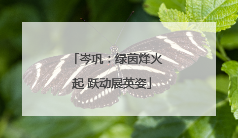 岑巩：绿茵烽火起 跃动展英姿