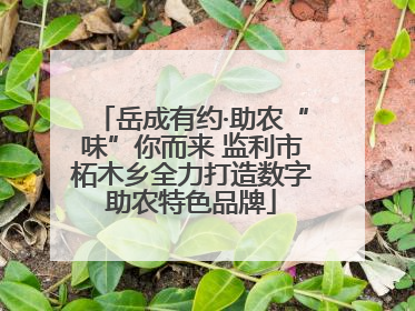 岳成有约·助农“味”你而来 监利市柘木乡全力打造数字助农特色品牌