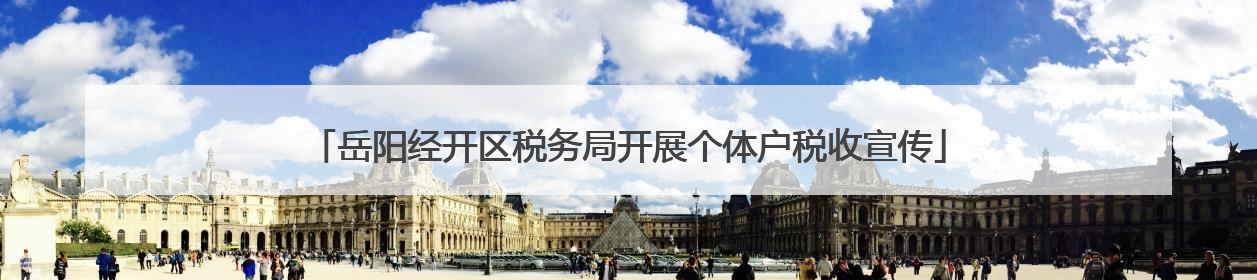 岳阳经开区税务局开展个体户税收宣传