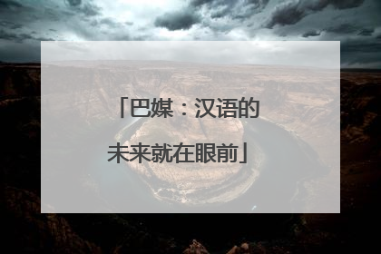 巴媒：汉语的未来就在眼前