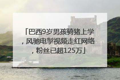巴西9岁男孩骑猪上学，风驰电掣视频走红网络，粉丝已超125万