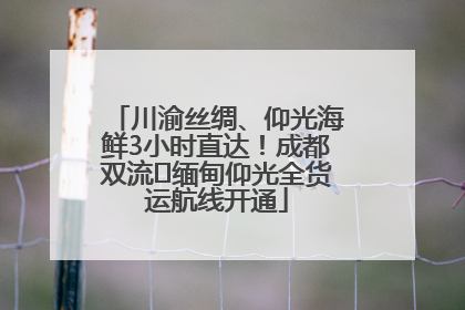 川渝丝绸、仰光海鲜3小时直达！成都双流⇌缅甸仰光全货运航线开通