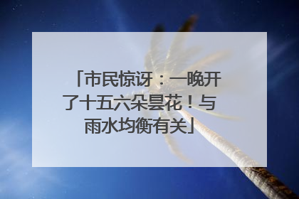市民惊讶：一晚开了十五六朵昙花！与雨水均衡有关