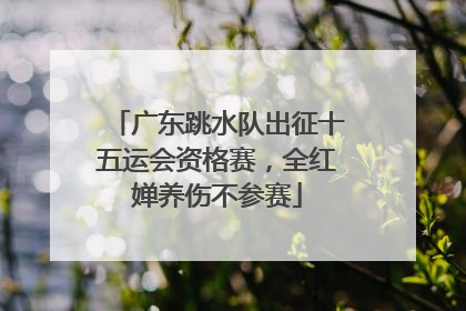 广东跳水队出征十五运会资格赛，全红婵养伤不参赛
