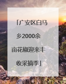 广安区白马乡2000余亩花椒迎来丰收采摘季