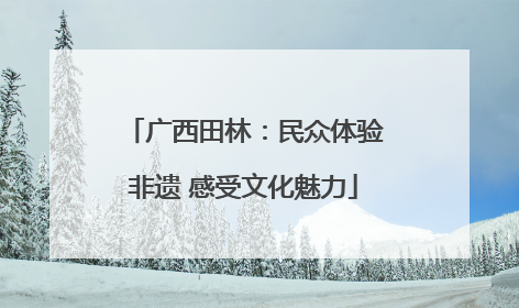广西田林：民众体验非遗 感受文化魅力