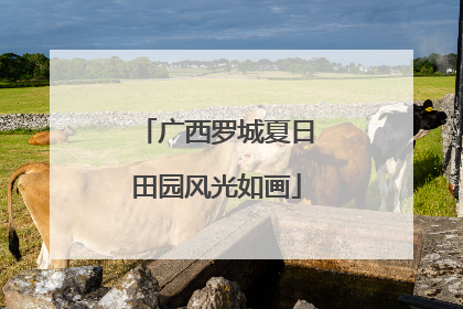 广西罗城夏日田园风光如画