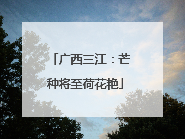 广西三江：芒种将至荷花艳