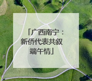 广西南宁：新侨代表共叙端午情