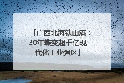 广西北海铁山港：30年蝶变超千亿现代化工业强区