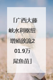 广西大藤峡水利枢纽增殖放流201.9万尾鱼苗