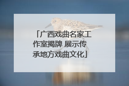 广西戏曲名家工作室揭牌 展示传承地方戏曲文化