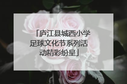 庐江县城西小学足球文化节系列活动精彩纷呈