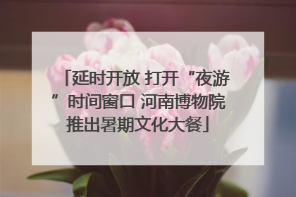 延时开放 打开“夜游”时间窗口 河南博物院推出暑期文化大餐